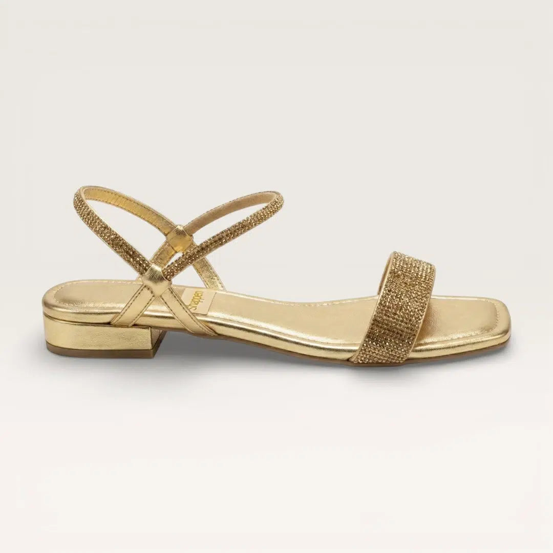 D13005115-GOLDEN-RS 3290 (1)
