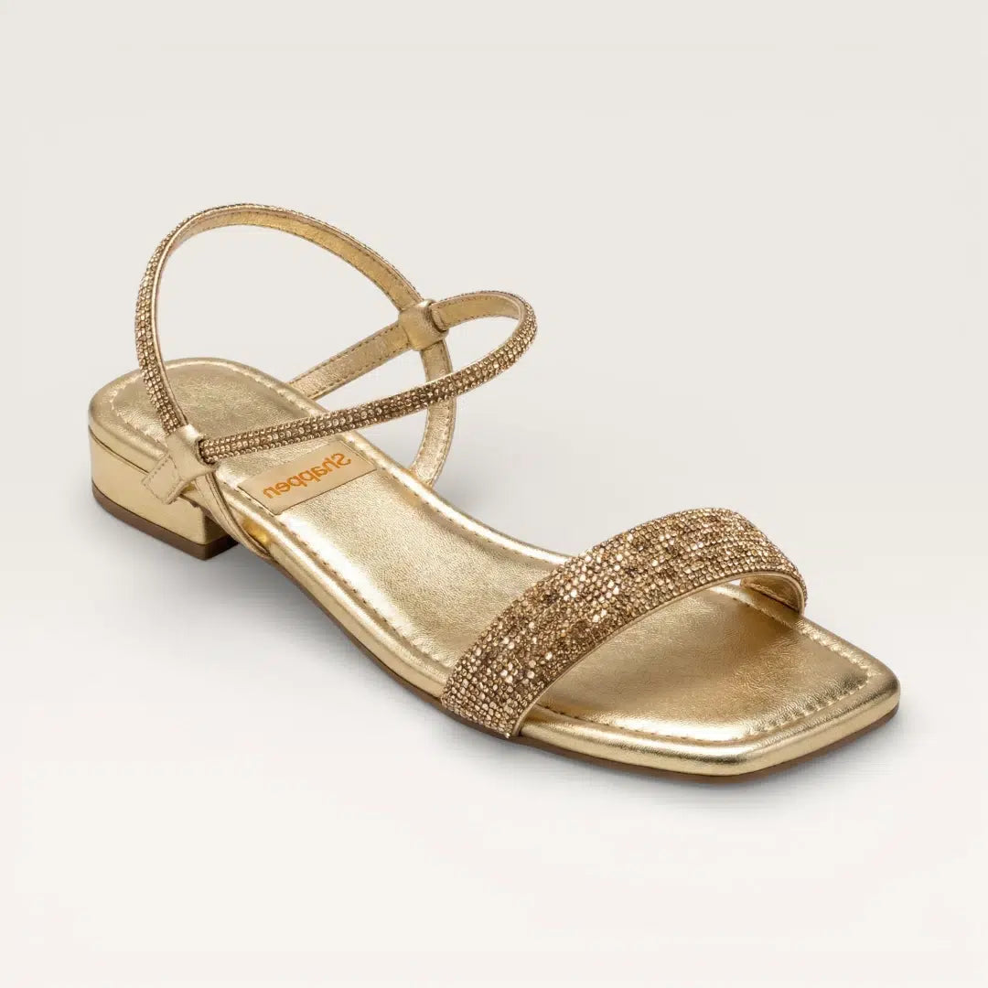 D13005115-GOLDEN-RS 3290 (2)